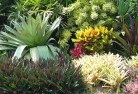 South Arm NSWplanting-garden-and-landscape-design-24.jpg; ?>